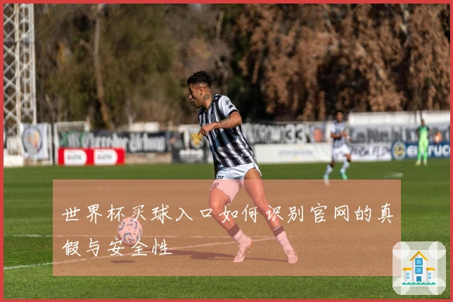 世界杯买球入口如何识别官网的真假与安全性