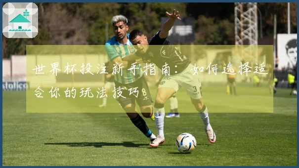 世界杯投注新手指南：如何选择适合你的玩法技巧